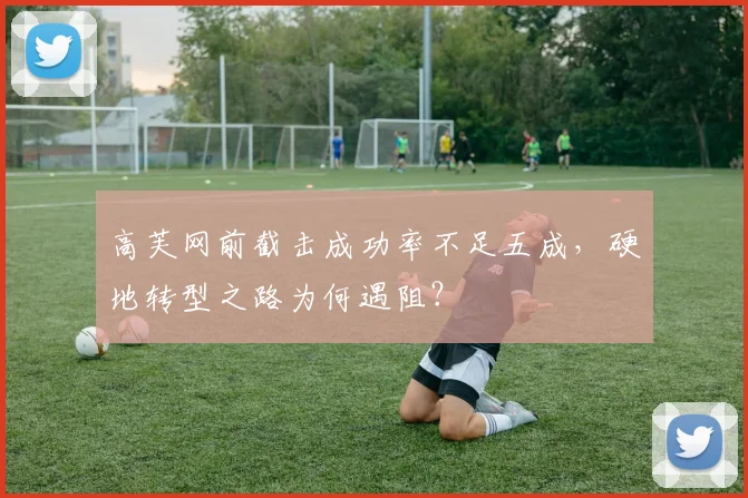 高芙网前截击成功率不足五成，硬地转型之路为何遇阻？